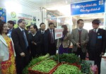 Bắc Giang: Khai trương mô hình "Chợ thí điểm bảo đảm vệ sinh an toàn thực phẩm"