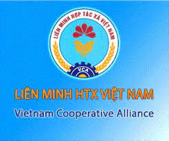 Liên minh hợp tác xã  Việt Nam